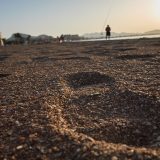 Pescando al atardecer en el Mar Menor.