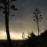 Tormenta en el horizonte.