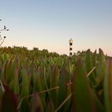 Faro en La Manga